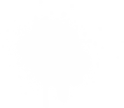 shape 2